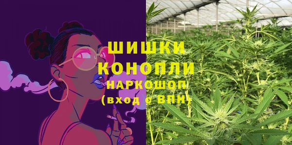 СК Горнозаводск