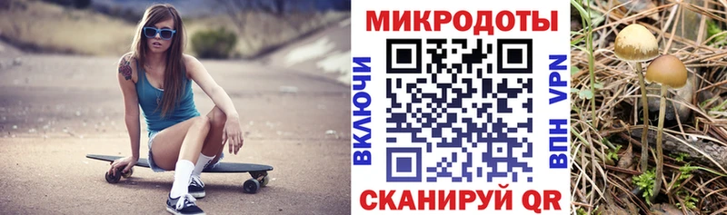 Псилоцибиновые грибы MAGIC MUSHROOMS  как найти наркотики  Ипатово 