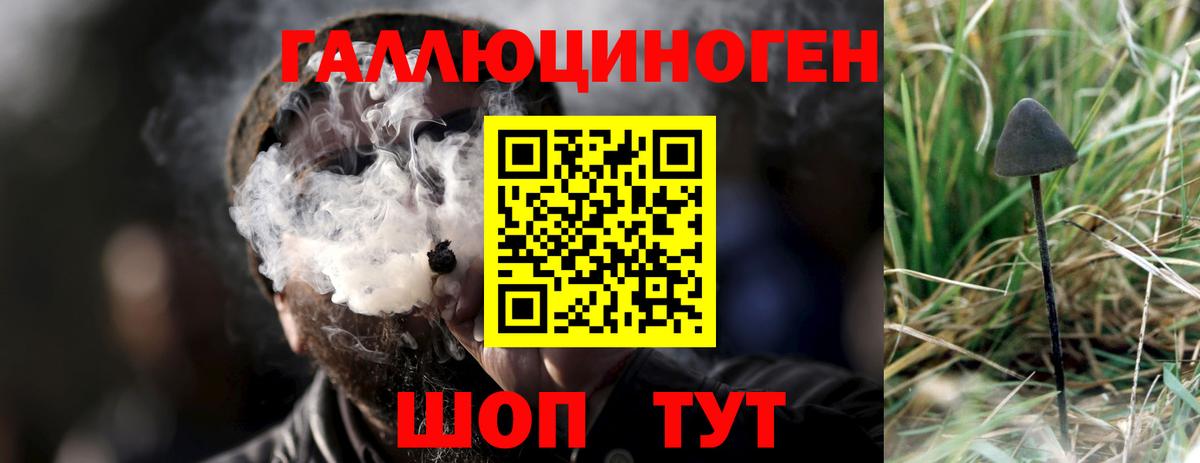 Ипатово  Галлюциногенные грибы Cubensis  Вход с VPN  Псилоцибиновые грибы Psilocybine cubensis 