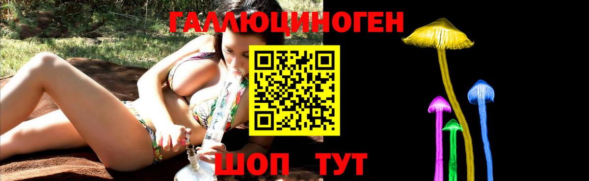Псилоцибиновые грибы Cubensis Ипатово